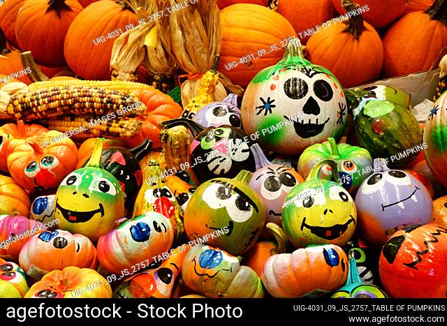 display of painted pumpkins
